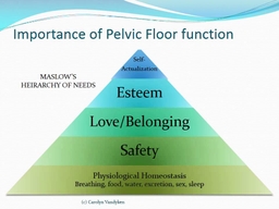 Pelvic Pain Relief Session